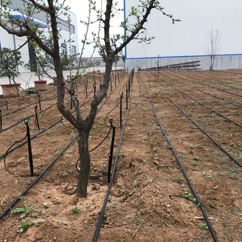 園林噴灌、滴灌、微噴