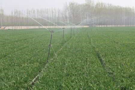 園林噴灌、滴灌、微噴